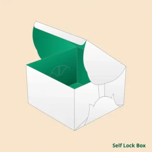 Self Lock Box